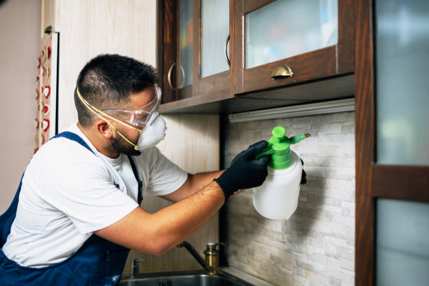 Best Affordable Pest Control Services  in Moapa Valley, NV