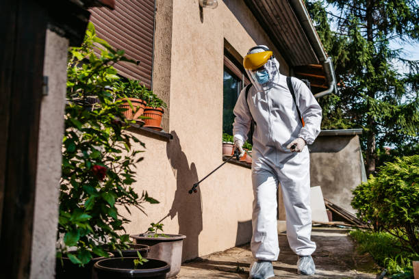 Best Best Pest Control Companies  in Moapa Valley, NV