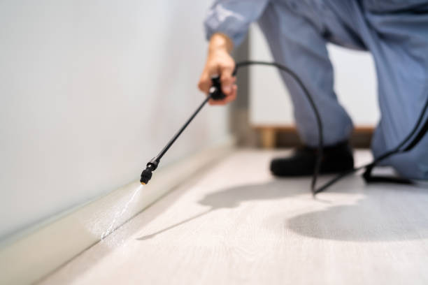 Best Pest Removal Services  in Moapa Valley, NV