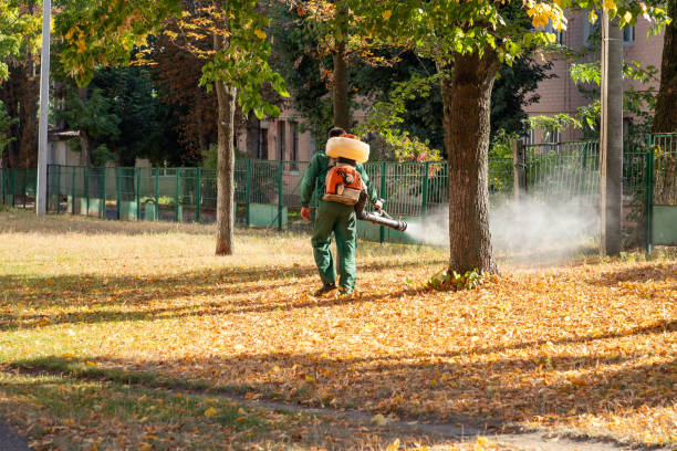 Best Exterminator Services  in Moapa Valley, NV