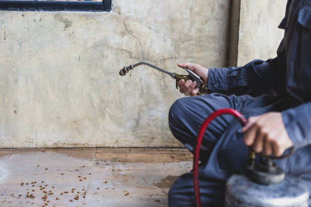 Best Best Pest Control Companies  in Moapa Valley, NV