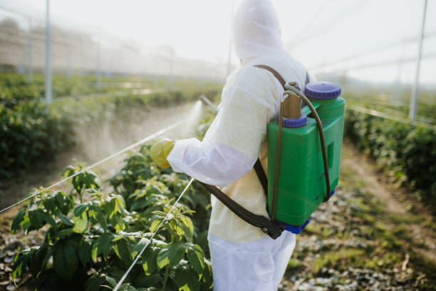 Best Pest Prevention Services  in Moapa Valley, NV